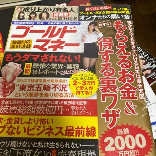 増刊週刊実話 ゴールドマネー 2019年 3/20号(ニュース/総合)