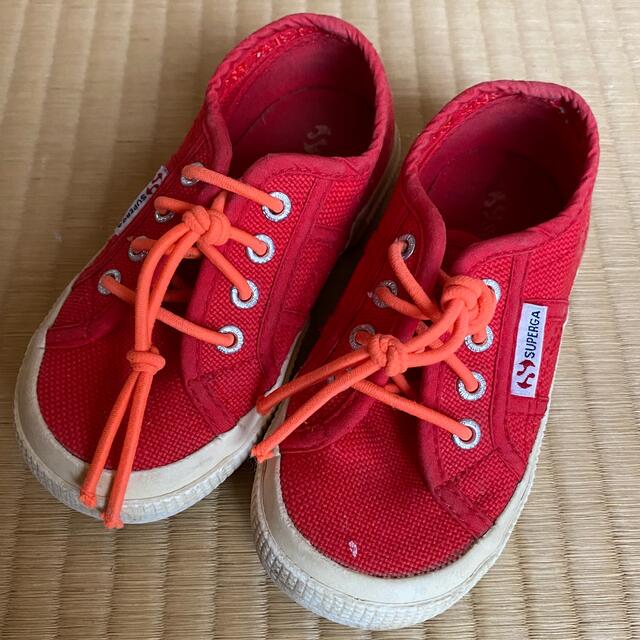 SUPERGA(スペルガ)のスペルガ　15センチ　スニーカー キッズ/ベビー/マタニティのキッズ靴/シューズ(15cm~)(スニーカー)の商品写真