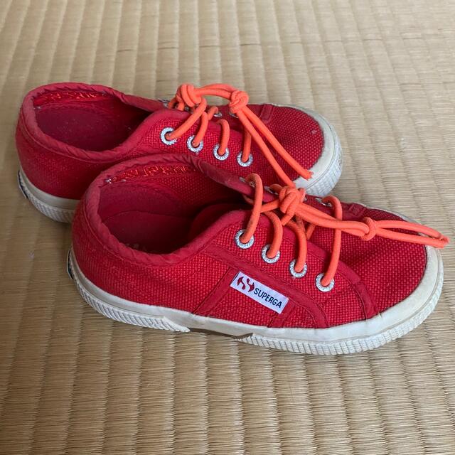 SUPERGA(スペルガ)のスペルガ　15センチ　スニーカー キッズ/ベビー/マタニティのキッズ靴/シューズ(15cm~)(スニーカー)の商品写真