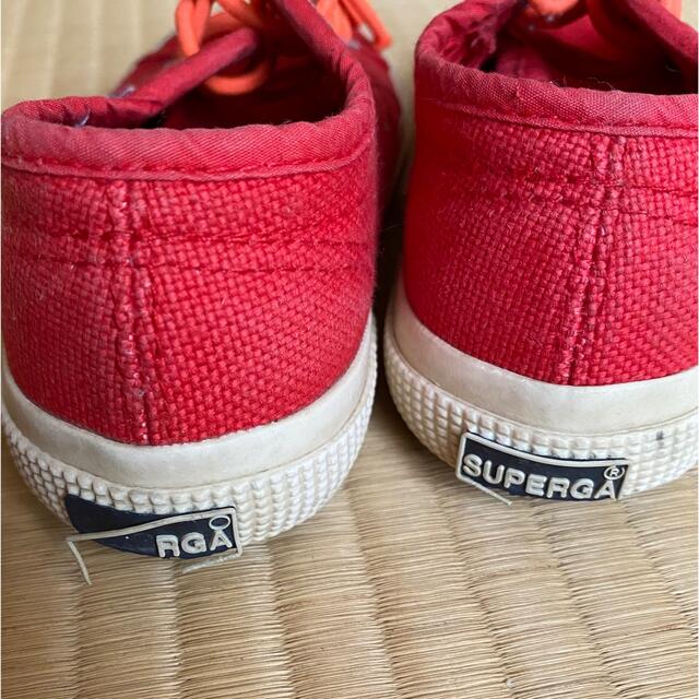 SUPERGA(スペルガ)のスペルガ　15センチ　スニーカー キッズ/ベビー/マタニティのキッズ靴/シューズ(15cm~)(スニーカー)の商品写真