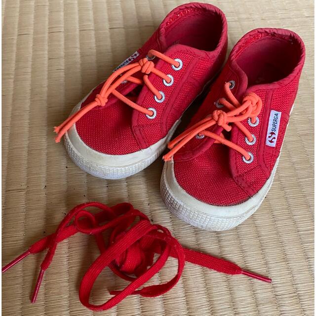 SUPERGA(スペルガ)のスペルガ　15センチ　スニーカー キッズ/ベビー/マタニティのキッズ靴/シューズ(15cm~)(スニーカー)の商品写真