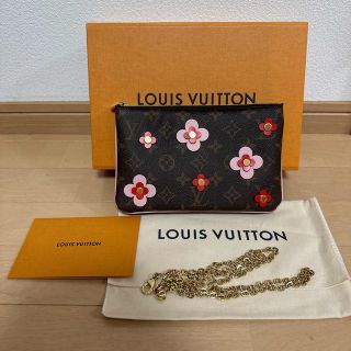 ルイヴィトン(LOUIS VUITTON)のルイヴィトン　ドゥーブルジップ　希少品(ショルダーバッグ)