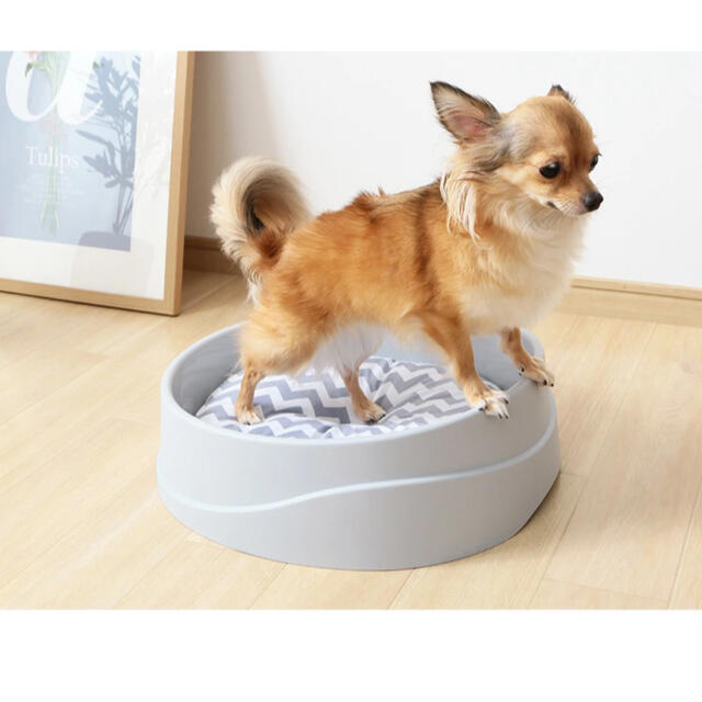 アイリスオーヤマ(アイリスオーヤマ)の丸洗いできるペットベッド 超小型犬・猫用 その他のペット用品(猫)の商品写真