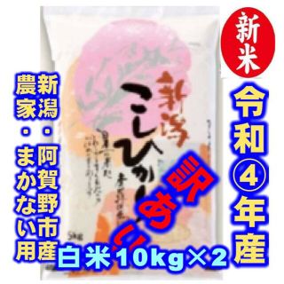 新米・令和4年産新潟コシヒカリ★色彩選別済白米10㌔×2袋★農家まかない用14(米/穀物)