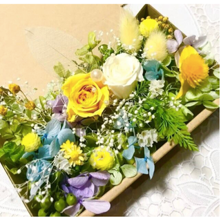 春満開ミモザ イエローローズ＊ハーバリウム花材ドライフラワー 花材セット花材詰め(プリザーブドフラワー)