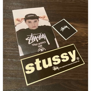 ステューシー(STUSSY)のSTUSSY Sticker ステューシーステッカー ■st30 お値下げ中‼️(その他)
