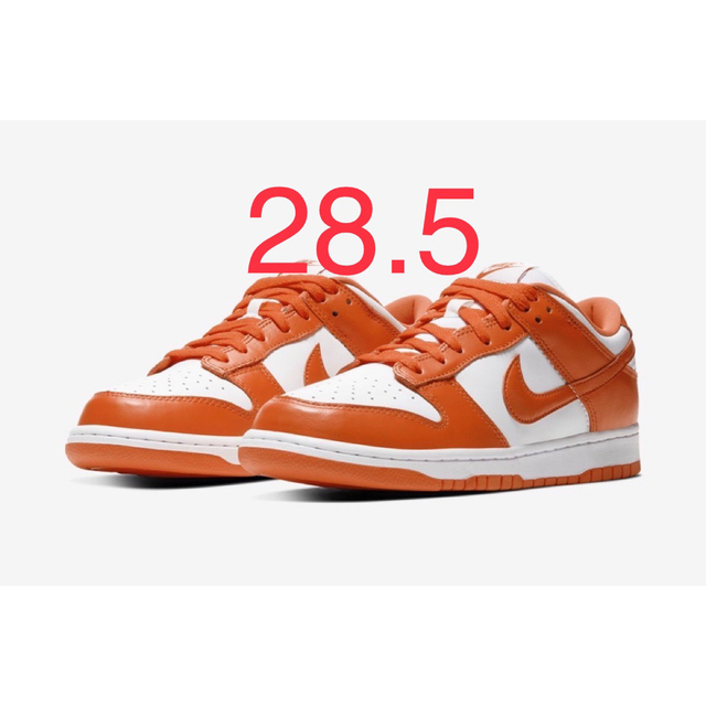 NIKE(ナイキ)の28.5 DunkLow SP Syracuse ダンクロー シラキュース メンズの靴/シューズ(スニーカー)の商品写真