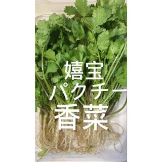 パクチー１キロ(野菜)