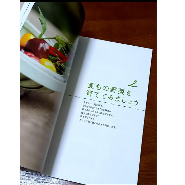 カップde野菜 エンタメ/ホビーの本(趣味/スポーツ/実用)の商品写真