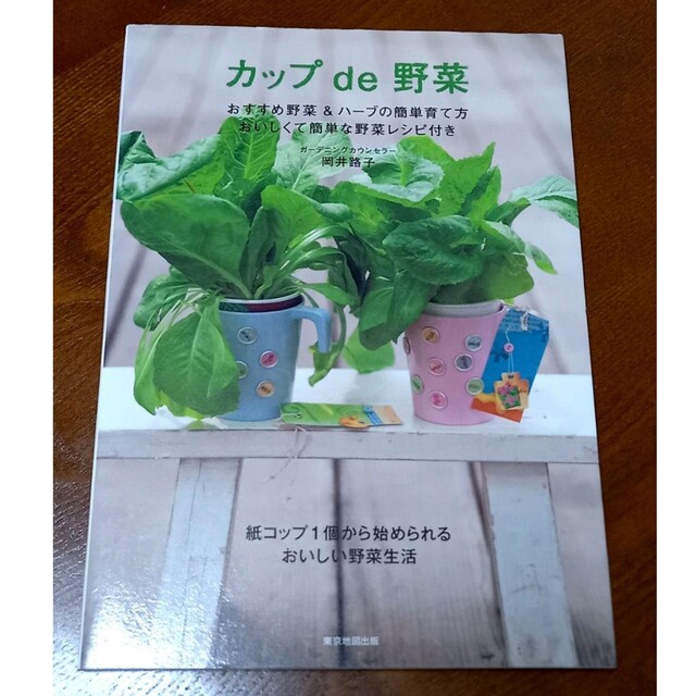 カップde野菜 エンタメ/ホビーの本(趣味/スポーツ/実用)の商品写真