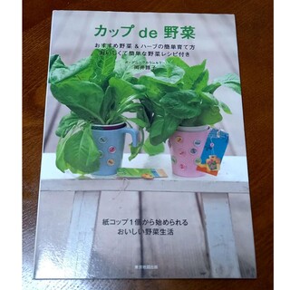 カップde野菜(趣味/スポーツ/実用)