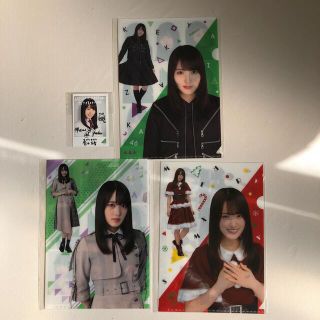 櫻坂46 菅井友香　クリアファイル、フォトカード(アイドルグッズ)