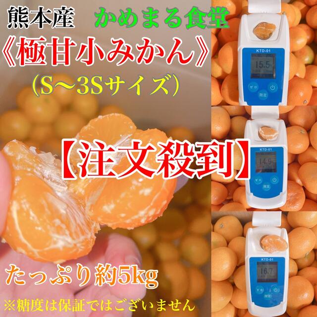 注文殺到!熊本産《極甘小さめ早生みかん》S〜3Sサイズ!5k箱満杯かめまる食堂y
