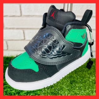 ナイキ(NIKE)の【オマケ付き】　NIKE ジョーダン パターカバー 黒緑(その他)