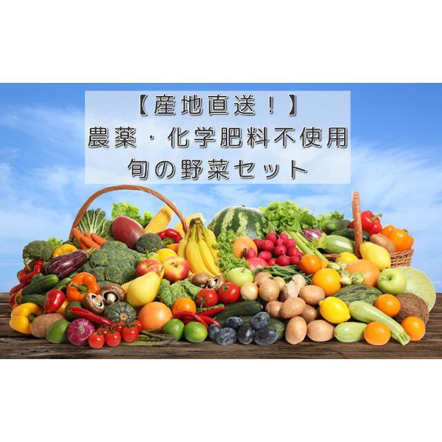 【農薬化学肥料不使用】季節のお野菜セット　M 食品/飲料/酒の食品(野菜)の商品写真