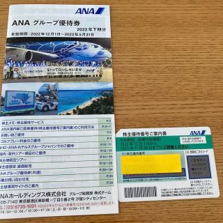 エーエヌエー(ゼンニッポンクウユ)(ANA(全日本空輸))のANA株主優待券(その他)