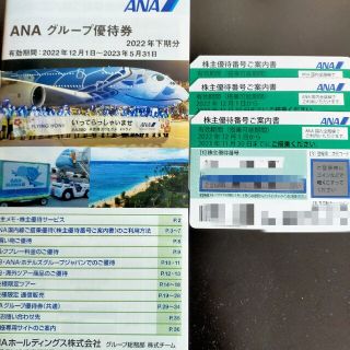 エーエヌエー(ゼンニッポンクウユ)(ANA(全日本空輸))の全日空株主優待券　2022下半期　3枚(その他)