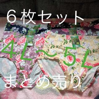 ４L〜5L相当！深履き＊ショーツ６枚セット(ショーツ)