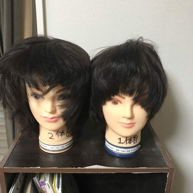美容師実技試験 レイヤーカット カット済みウィッグの通販 by えみ's