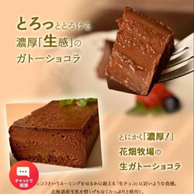 花畑牧場 濃厚生ガトーショコラ 480ｇ×2 ケーキ テリーヌ チョコ