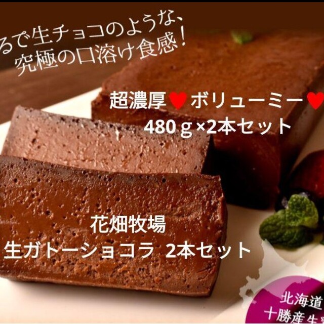 花畑牧場 濃厚生ガトーショコラ 480ｇ×2 ケーキ テリーヌ チョコ | フリマアプリ ラクマ