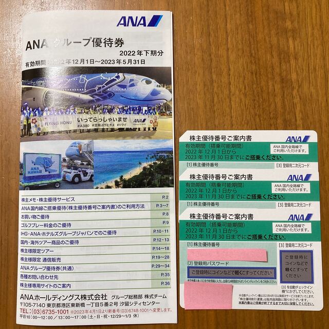 ANA(全日本空輸)(エーエヌエー(ゼンニッポンクウユ))のANA グループ優待券　株主優待券　3枚 チケットの優待券/割引券(その他)の商品写真