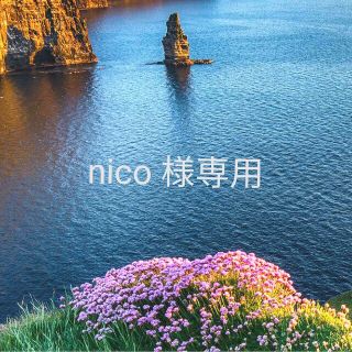 ザセム(the saem)のnico 様専用(コンシーラー)