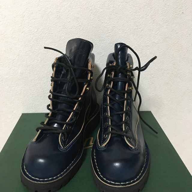 【人気モデル☆】DANNER LIGHT BLACK 25cm US7