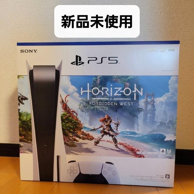 PS5 Horizon Forbidden West 同梱版 付属品欠品