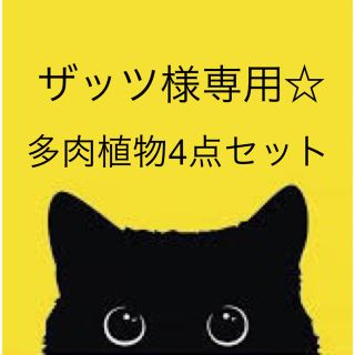 ザッツ様専用出品ページです！(その他)