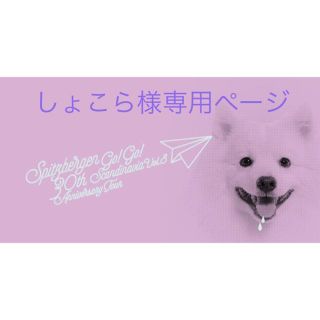 しょこら様 専用ページ】スピッツ ゴースカ トレーディングカードの