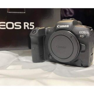 キヤノン(Canon)のCanon EOS R5 シャッター3000回未満 美品(ミラーレス一眼)