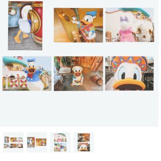 ディズニー(Disney)のディズニーリゾート✨ドナルド写真セット(キャラクターグッズ)