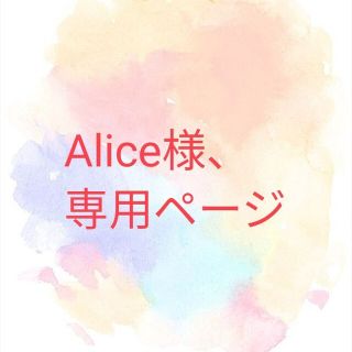 Alice様専用ページ(マタニティ下着)