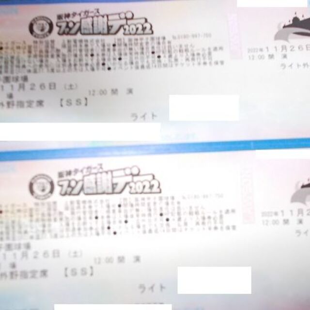 阪神タイガースファン感謝デー　エアハイタッチ券（記念品付）２枚