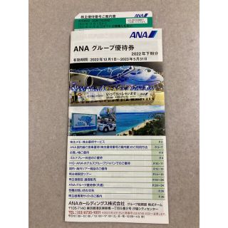 エーエヌエー(ゼンニッポンクウユ)(ANA(全日本空輸))のANA 株主優待券　1枚(その他)