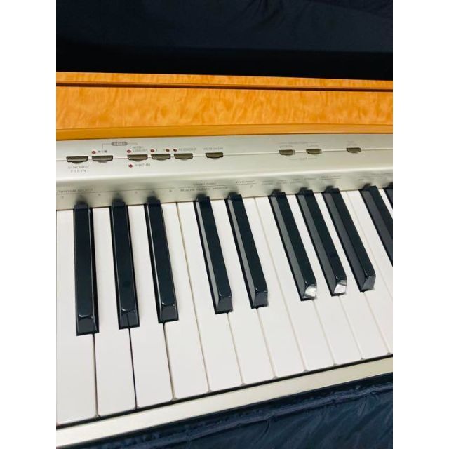 CASIO(カシオ)のCASIO PX-120 電子ピアノ　88鍵盤 楽器の鍵盤楽器(電子ピアノ)の商品写真