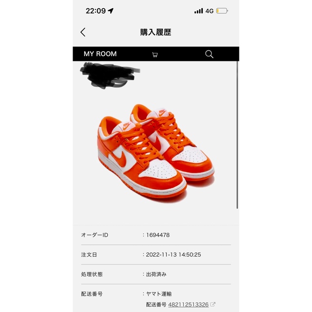 NIKE(ナイキ)のNike Dunk Low SP "Syracuse" メンズの靴/シューズ(スニーカー)の商品写真