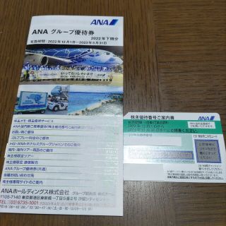 エーエヌエー(ゼンニッポンクウユ)(ANA(全日本空輸))のANA 優待券(その他)