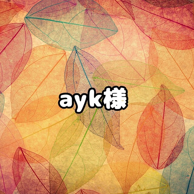 ayk様専用 NPedSOJJT9 - pte.com.co