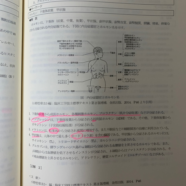 臨床工学技士　国家試験問題解説集　29回 エンタメ/ホビーの本(資格/検定)の商品写真