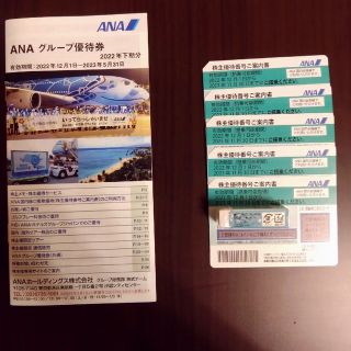 エーエヌエー(ゼンニッポンクウユ)(ANA(全日本空輸))のANA 株主優待(その他)