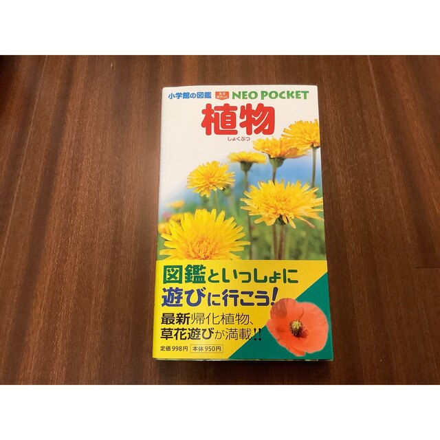 小学館の図鑑　NEO PICKET 植物　 エンタメ/ホビーの本(絵本/児童書)の商品写真