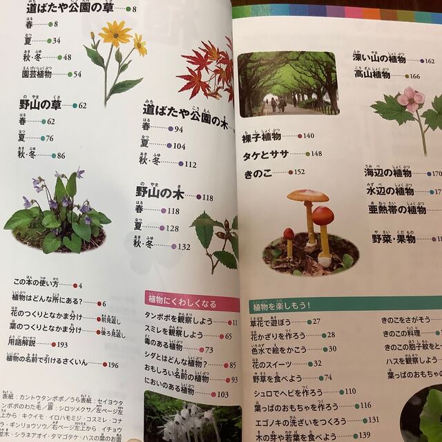 小学館の図鑑　NEO PICKET 植物　 エンタメ/ホビーの本(絵本/児童書)の商品写真