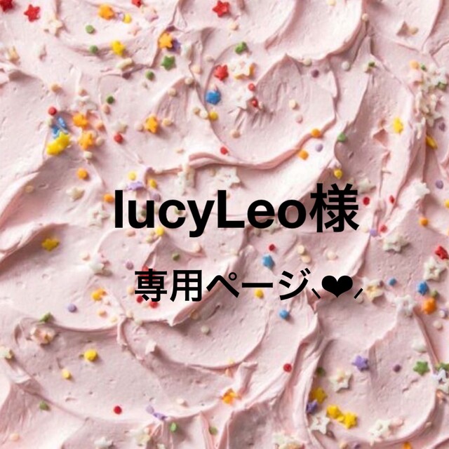 lucyLeo様 専用ページ⸜❤︎⸝‍の通販 by のりりん's shop｜ラクマ