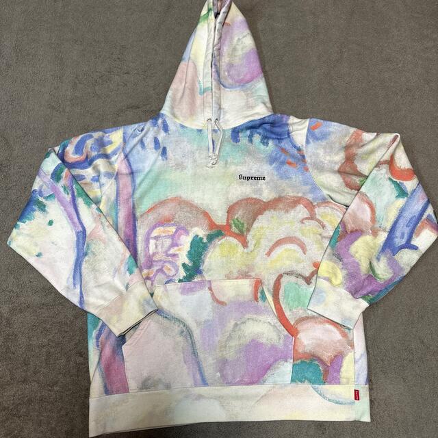 トップスSupreme Landscape Hooded Sweatshirt