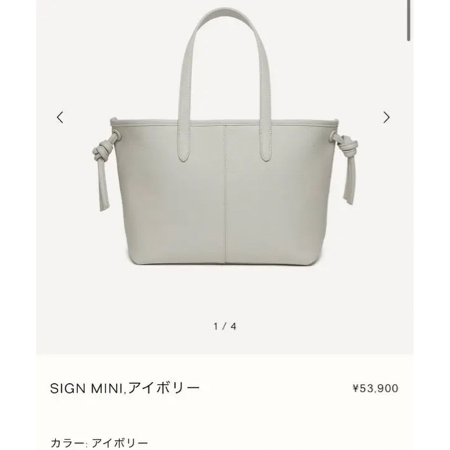 VASIC SIGN MINI 国内即完売アイボリー♡新品未使用 vimaseguridad.com