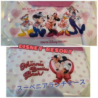 ディズニー(Disney)の★DISNEY RESORT限定 スーベニア ミニーマウス(キャラクターグッズ)