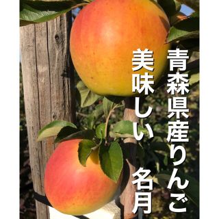 青森県産りんご　名月　12個入り　送料込み(フルーツ)