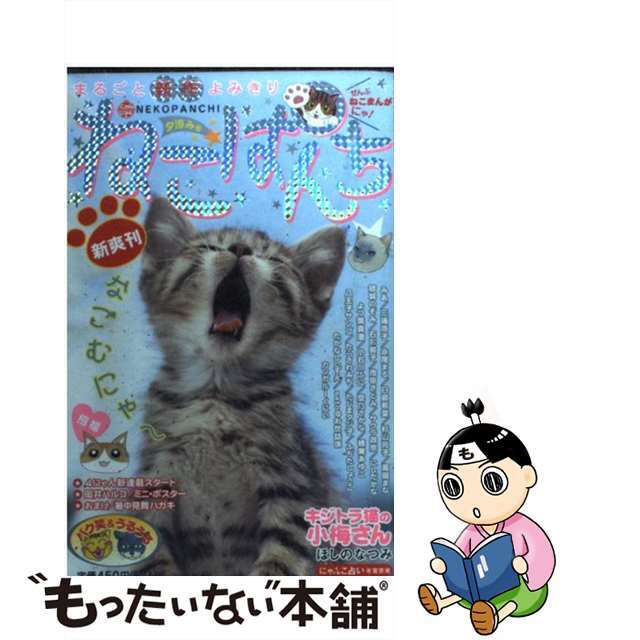 ねこぱんち ２２（夕涼み号）/少年画報社9784785929770